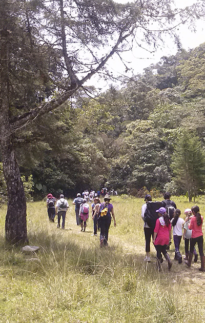 REFUGIO DE VIDA SILVESTRE ALTO DE SAN MIGUEL / REGIÓN ANDINA DE COLOMBIA